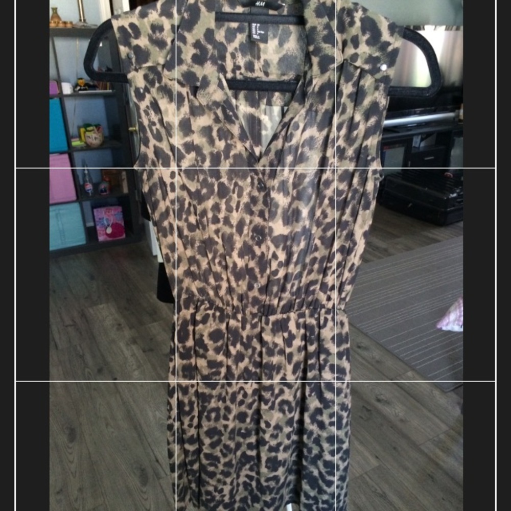 H&M Animal Print Dress